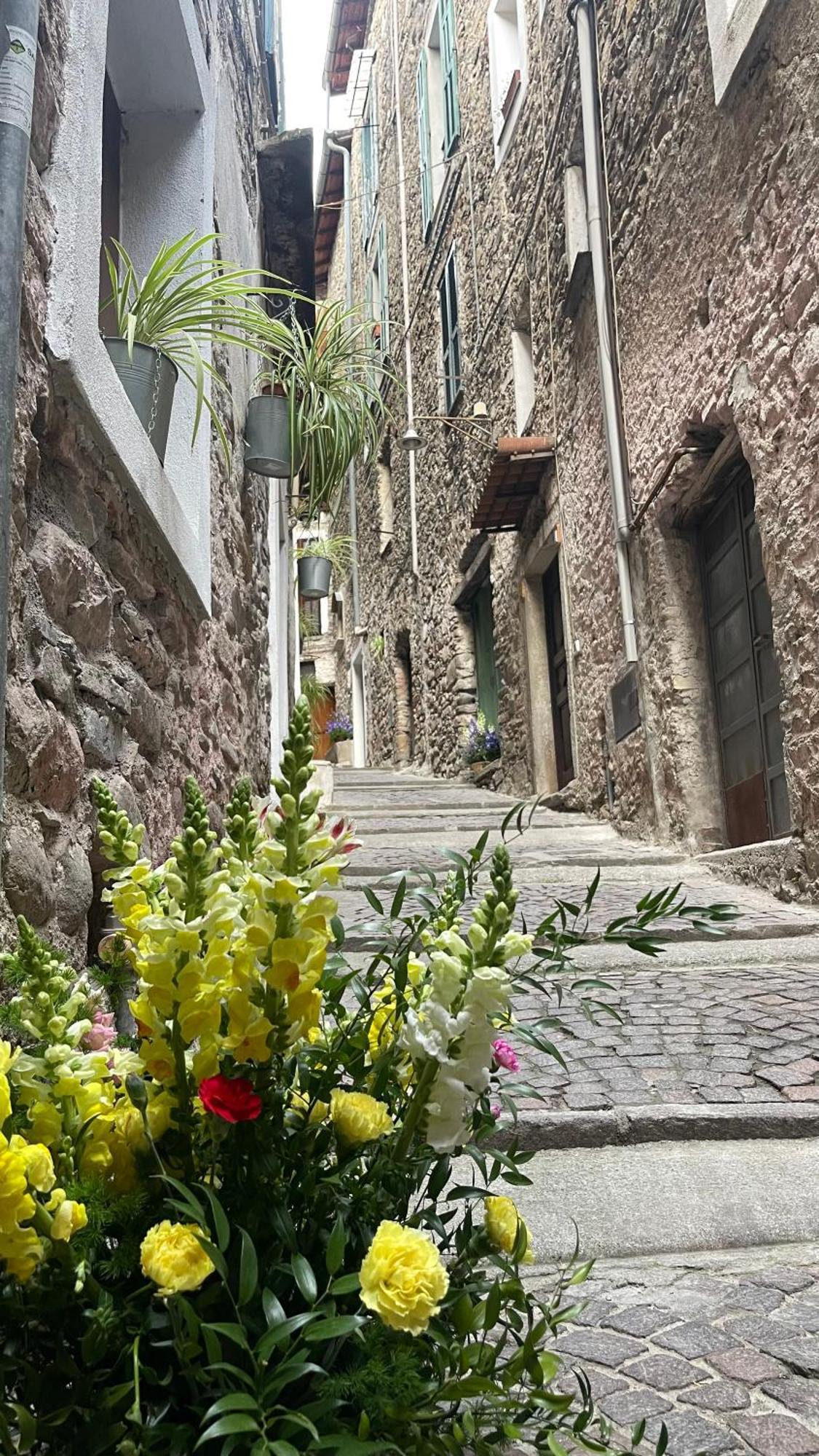 Le Bijou Di Dolceacqua, Per Un Momento Memorabile. Διαμέρισμα Εξωτερικό φωτογραφία